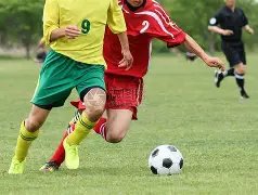 德甲第,霍芬海姆对,阵美因茨握,胜利体育,体育彩票,彩票平台,在线投注,数据分析