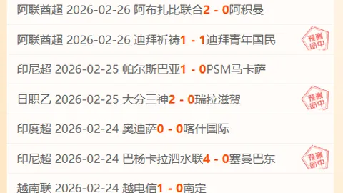 2025歐美杯決賽時間已敲定！